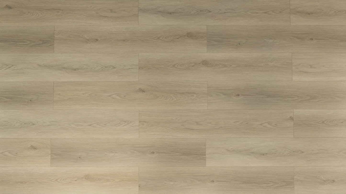 Toucan Vinyl TFSPC8605-F - Boreal Light