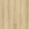 Home's Pro Vancouver Vinyl SPC - Kitsilano 8804