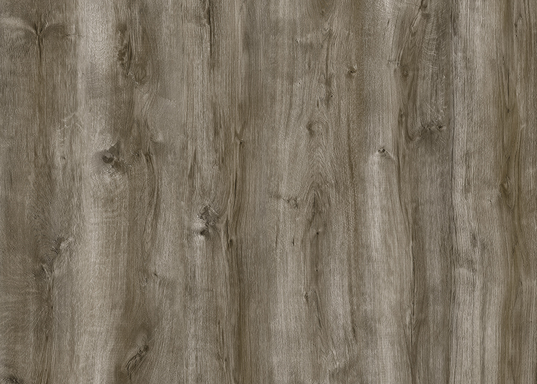CYRUS FLOORS SPC - Ashwood EL003