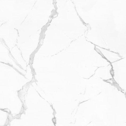 Ceramic Tile - Carrara 260PA Polish 24x24