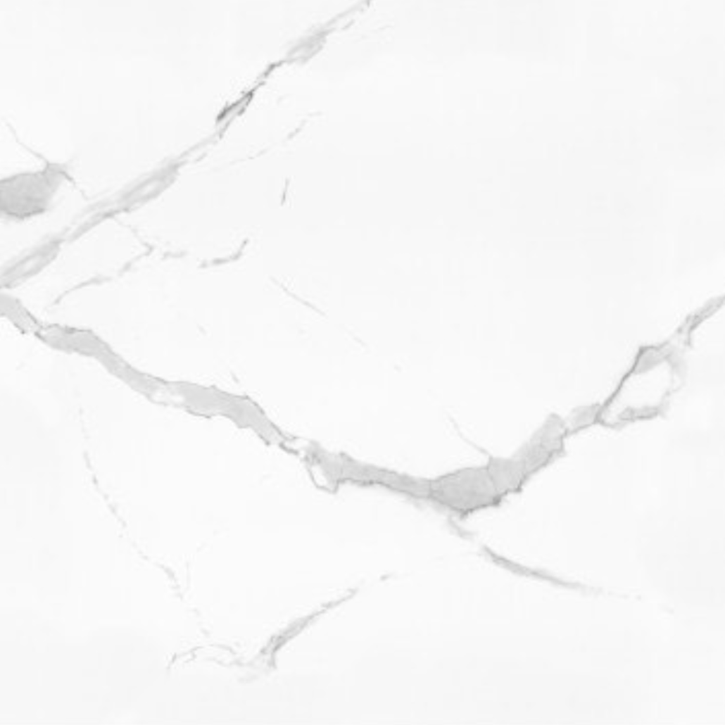 Ceramic Tile - Carrara 260PA Matte 24x24