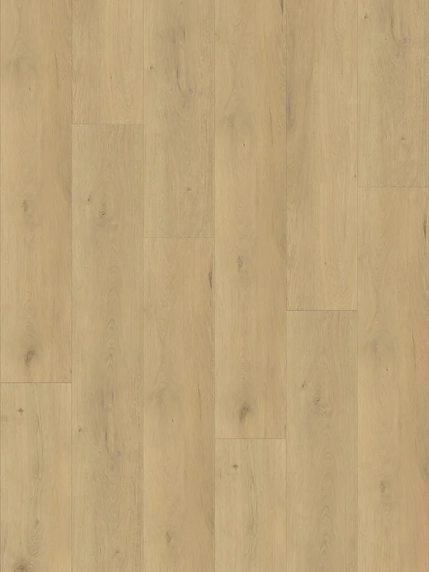 Harbinger Craftsman Vinyl - Paris HCP 66055R