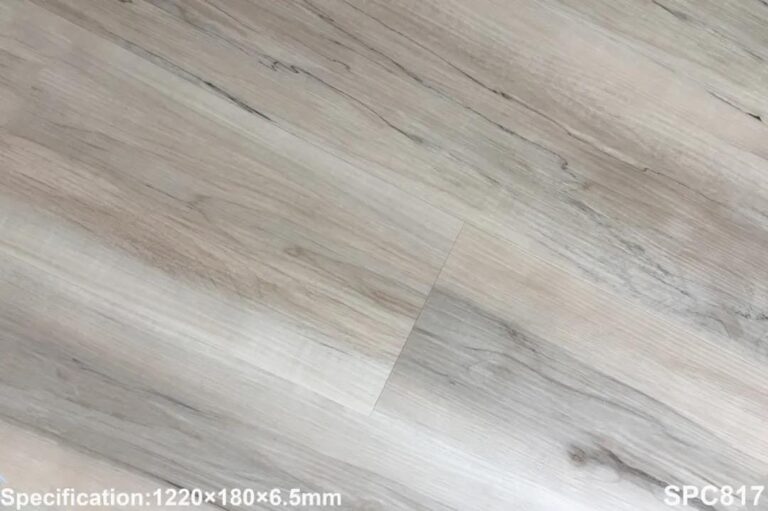 Simba Universe Vinyl SPC - 817
