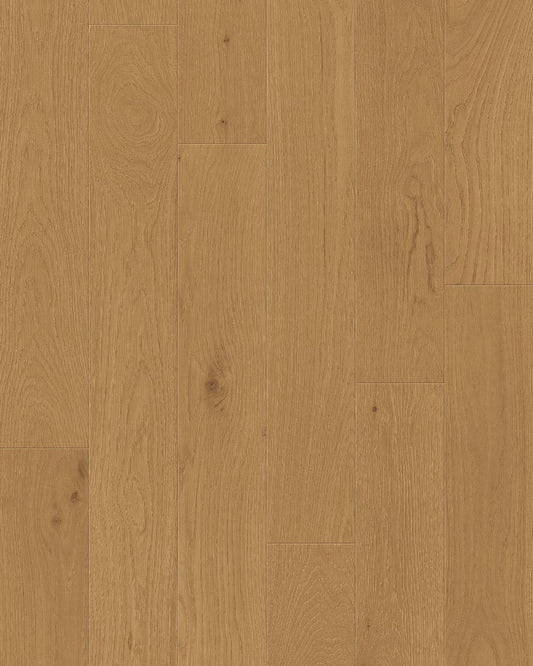 Toucan 3/4" Engineered Hardwood TCN 104 - Woodland TCN104