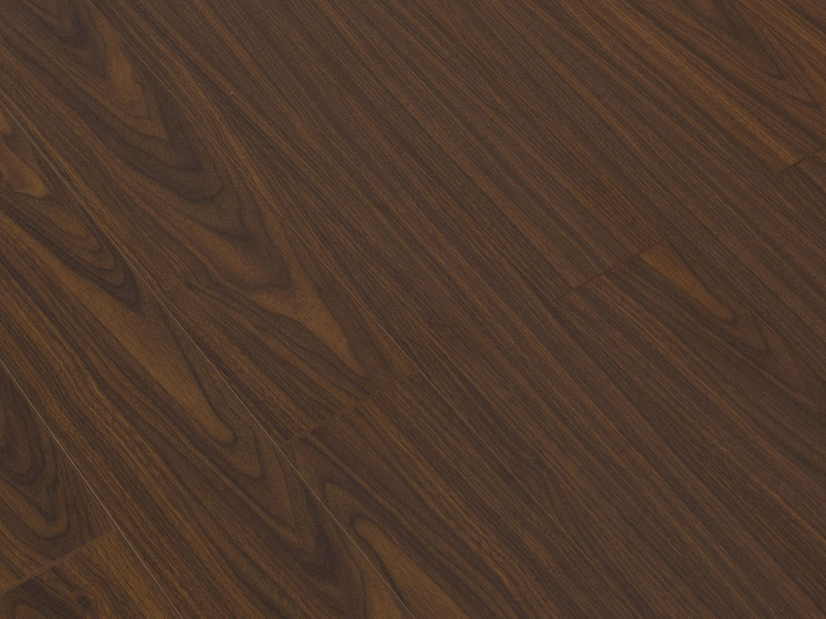Toucan Laminate 5" - TF1119-F - TF 1119