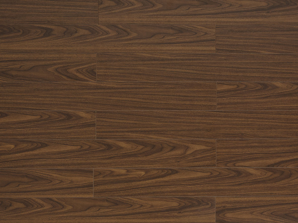 Toucan Laminate 5" - TF1119-F - TF 1119