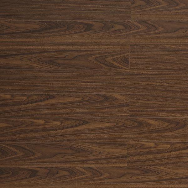 Toucan Laminate 5" - TF1119-F - TF 1119