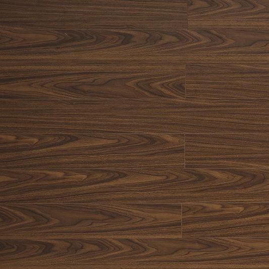 Toucan Laminate 5" - TF1119-F - TF 1119