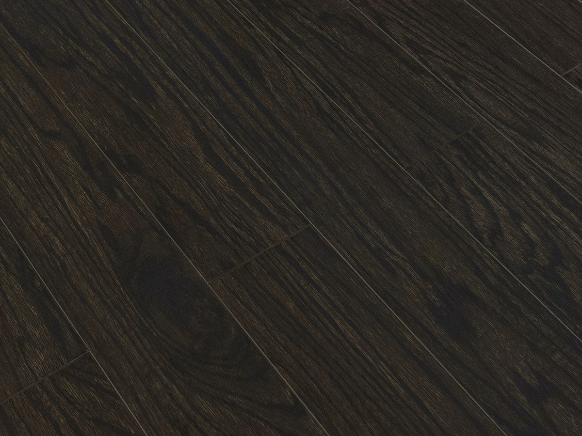 Toucan Laminate 5" - TF1122-F - TF 1122