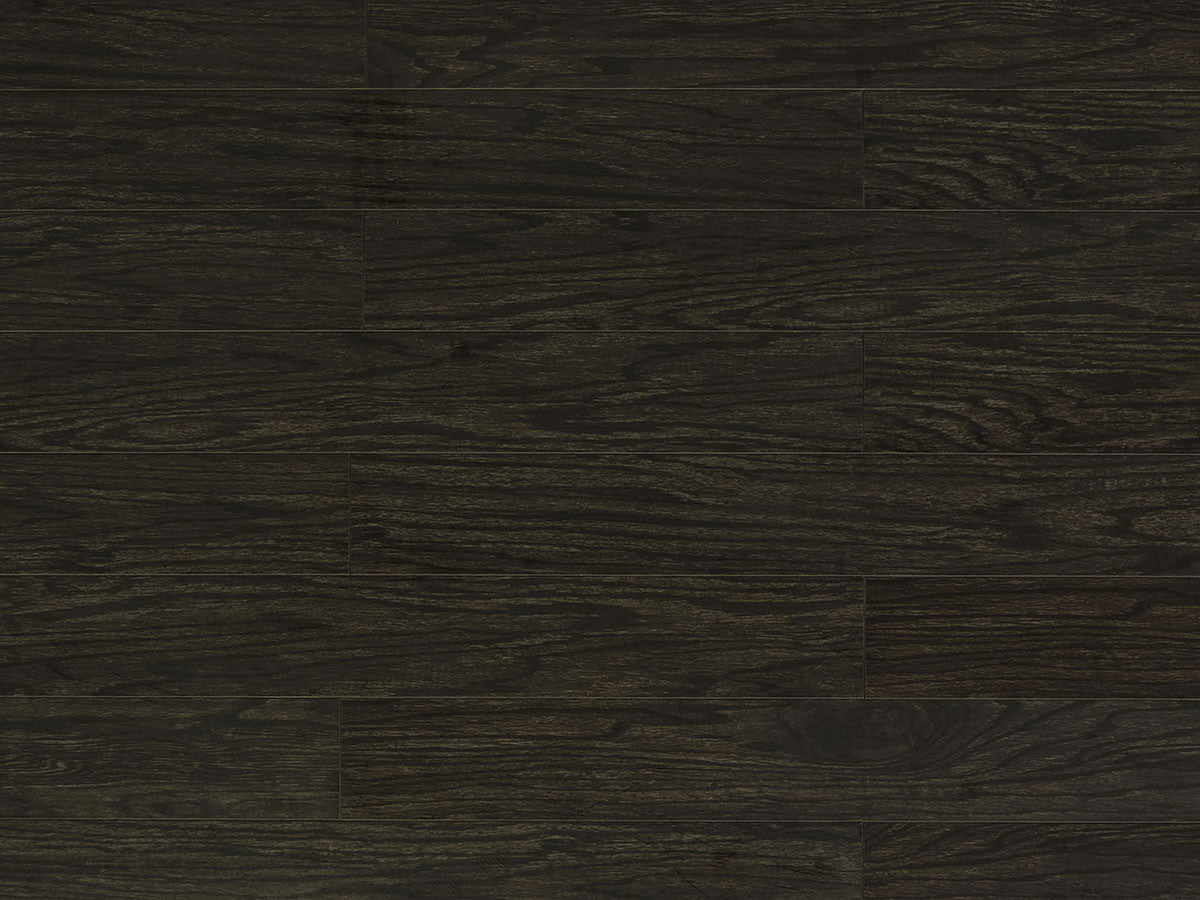 Toucan Laminate 5" - TF1122-F - TF 1122