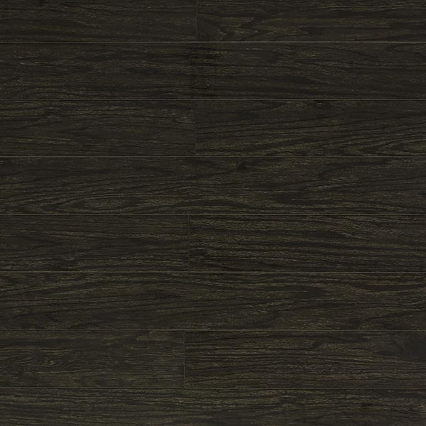 Toucan Laminate 5" - TF1122-F - TF 1122