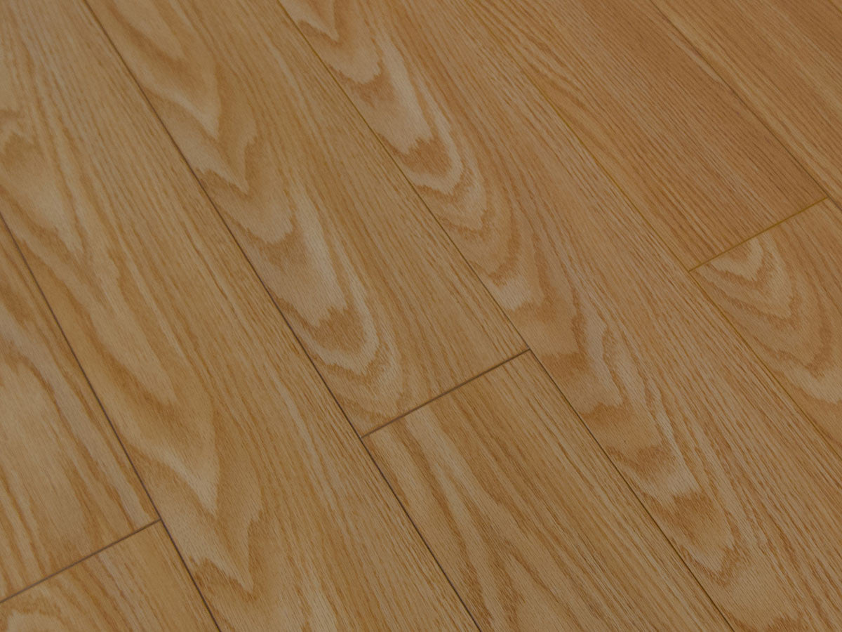 Toucan Laminate 5" - TF1123-F - TF 1123