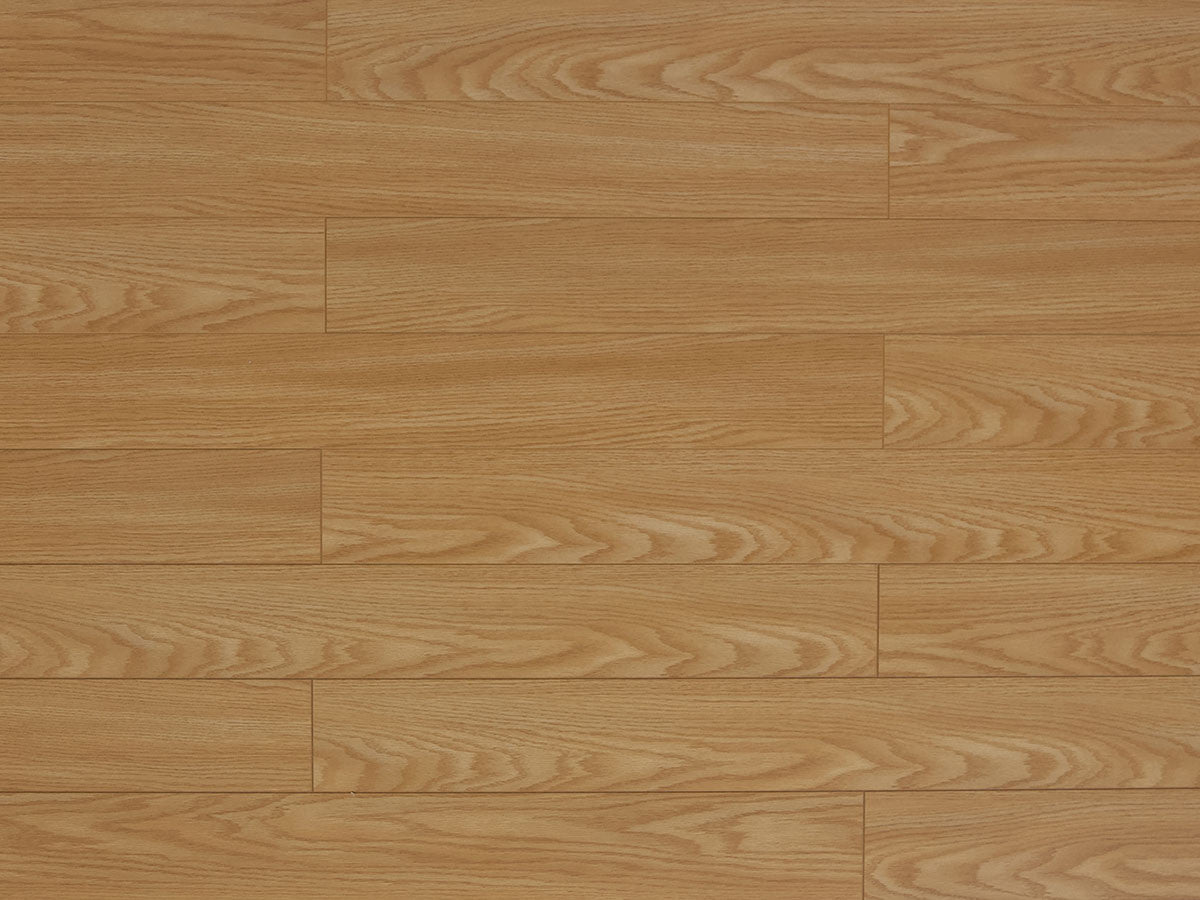 Toucan Laminate 5" - TF1123-F - TF 1123