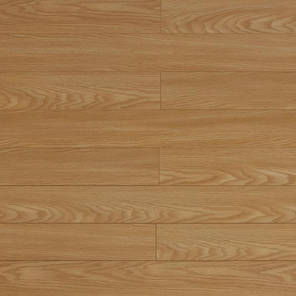 Toucan Laminate 5" - TF1123-F - TF 1123