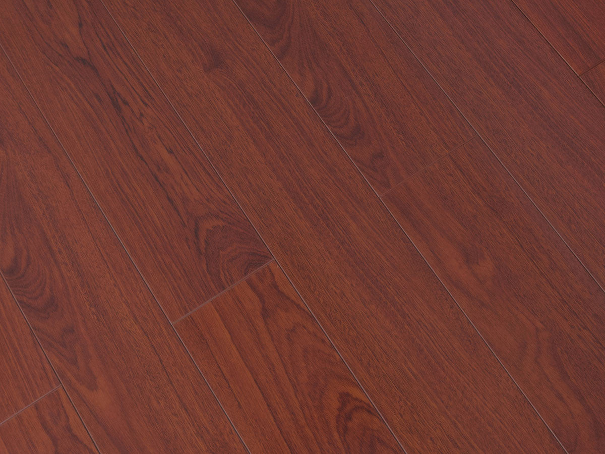 Toucan Laminate 5" Glossy - TF2204-F - TF 2204