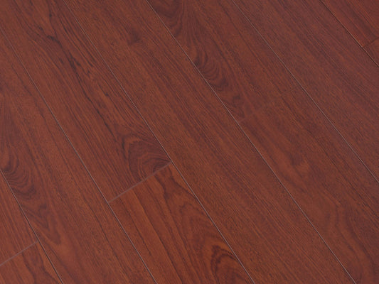 Toucan Laminate 5"  Glossy - TF2204-F - TF 2204