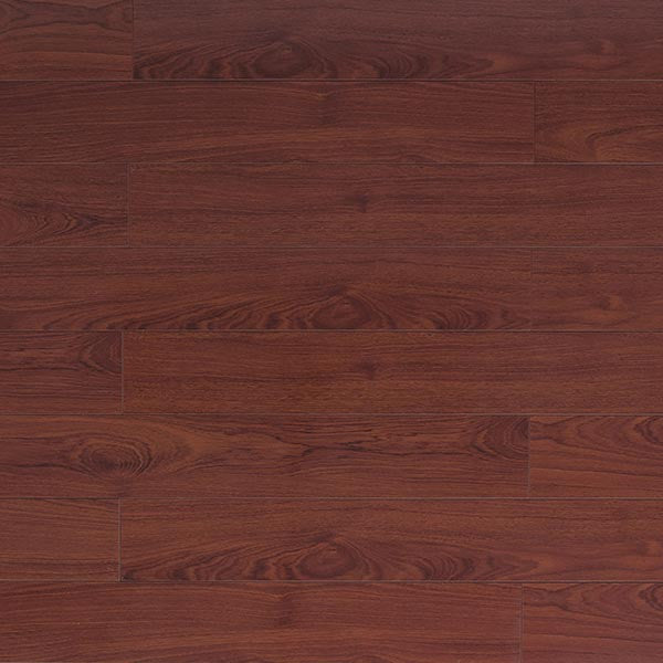 Toucan Laminate 5" Glossy - TF2204-F - TF 2204