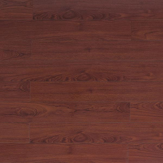 Toucan Laminate 5"  Glossy - TF2204-F - TF 2204