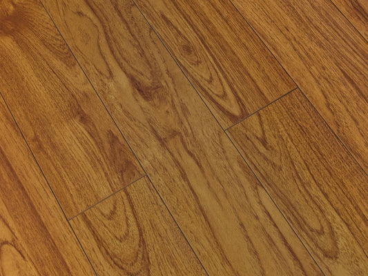 Toucan Laminate 5"  Glossy - TF2212-F - TF 2212