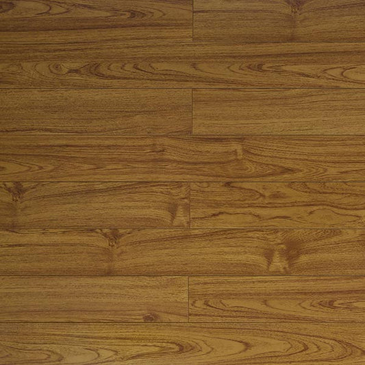 Toucan Laminate 5"  Glossy - TF2212-F - TF 2212