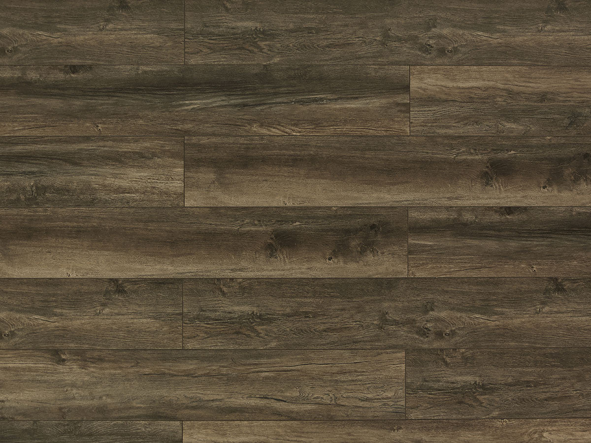 Toucan Laminate - TF6012-F - TF 6012
