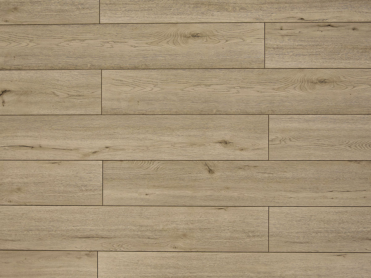Toucan Laminate - TF6202-F
