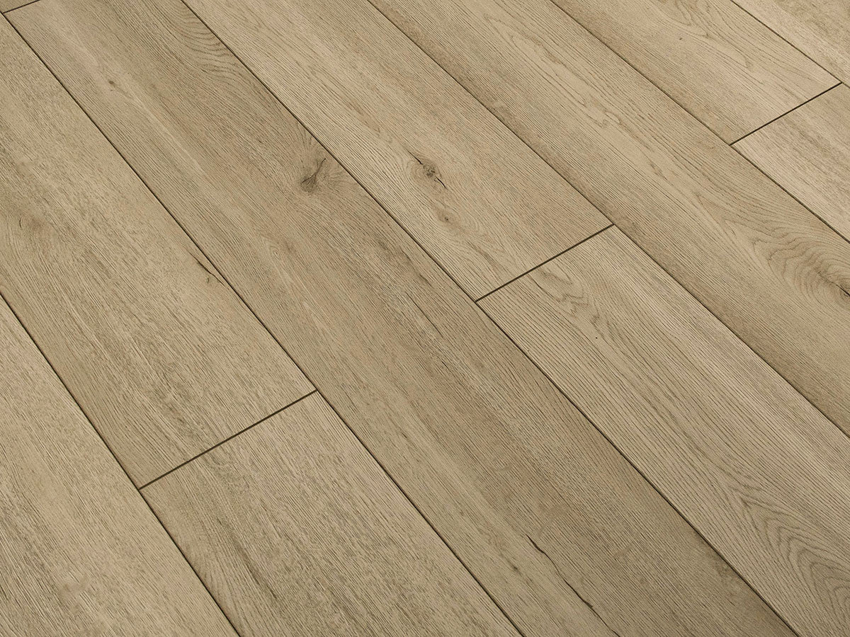 Toucan Laminate - TF6202-F