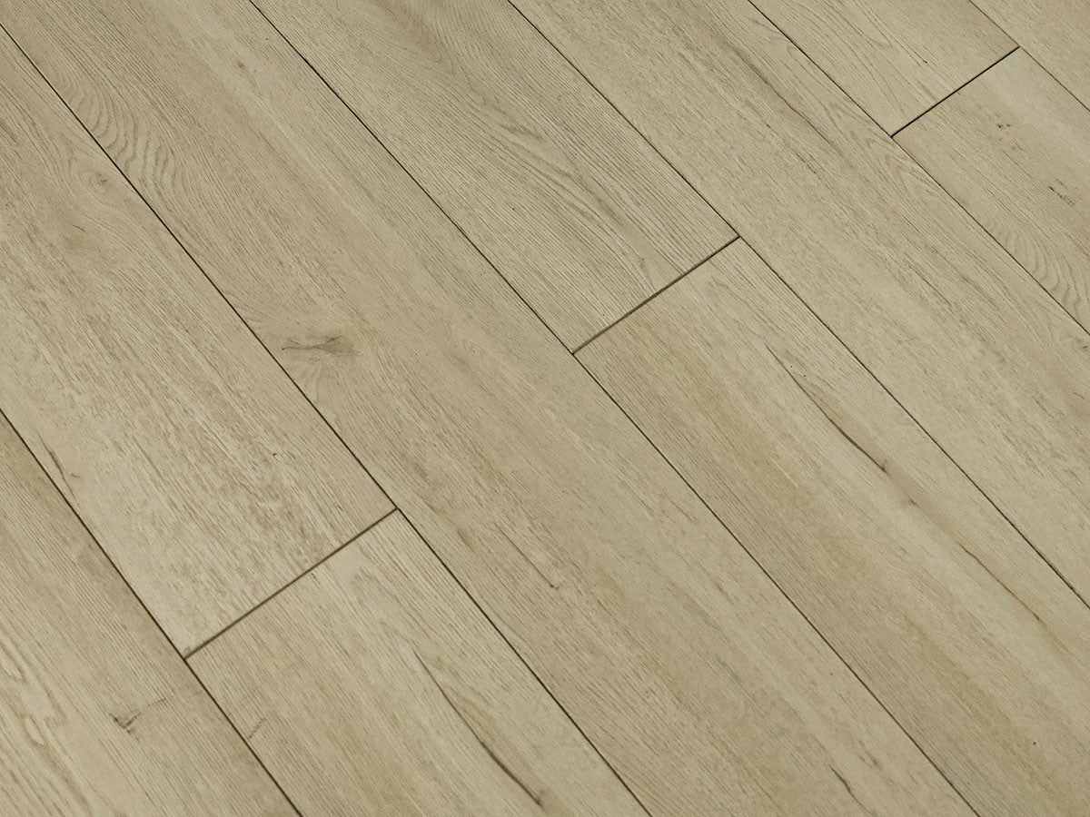 Toucan Laminate - TF6203-F - TF 6203
