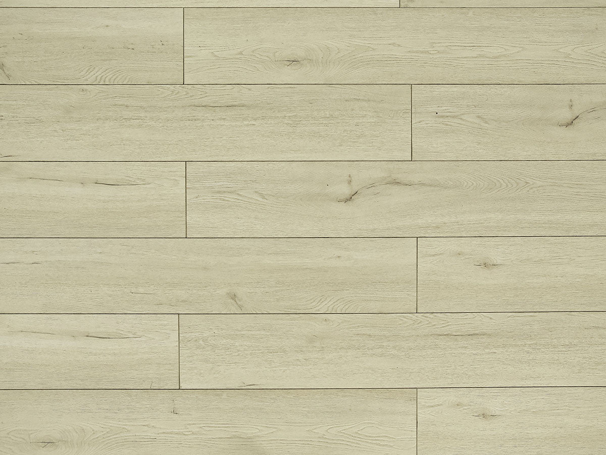 Toucan Laminate - TF6203-F - TF 6203