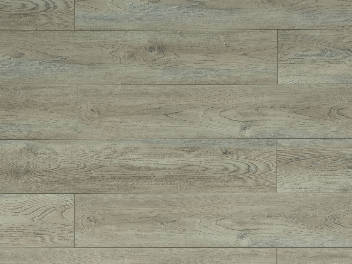 Toucan Laminate - TF6205-F