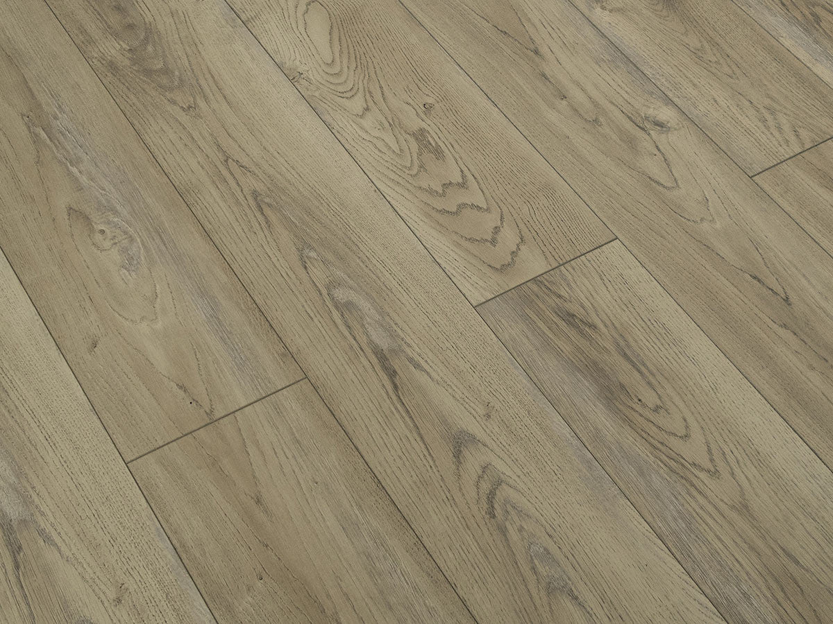 Toucan Laminate - TF6206-F