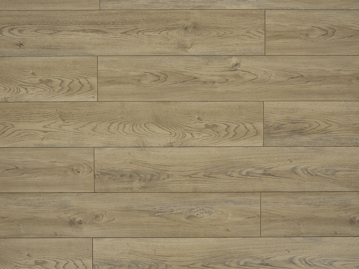 Toucan Laminate - TF6206-F