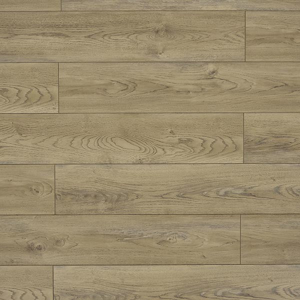 Toucan Laminate - TF6206-F - TF 6206