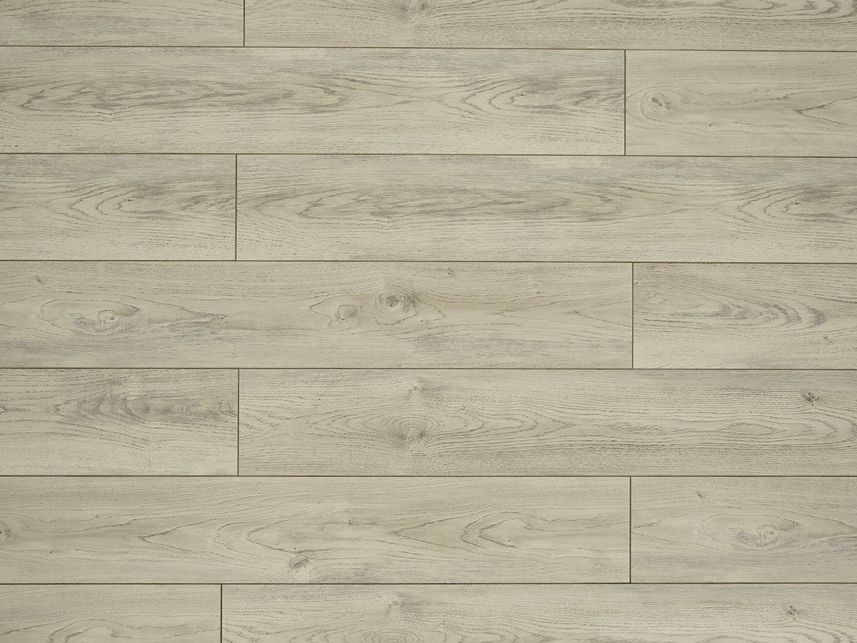 Toucan Laminate - TF6207-F -  TF 6207