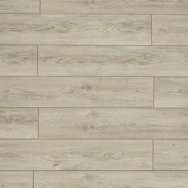 Toucan Laminate - TF6207-F -  TF 6207