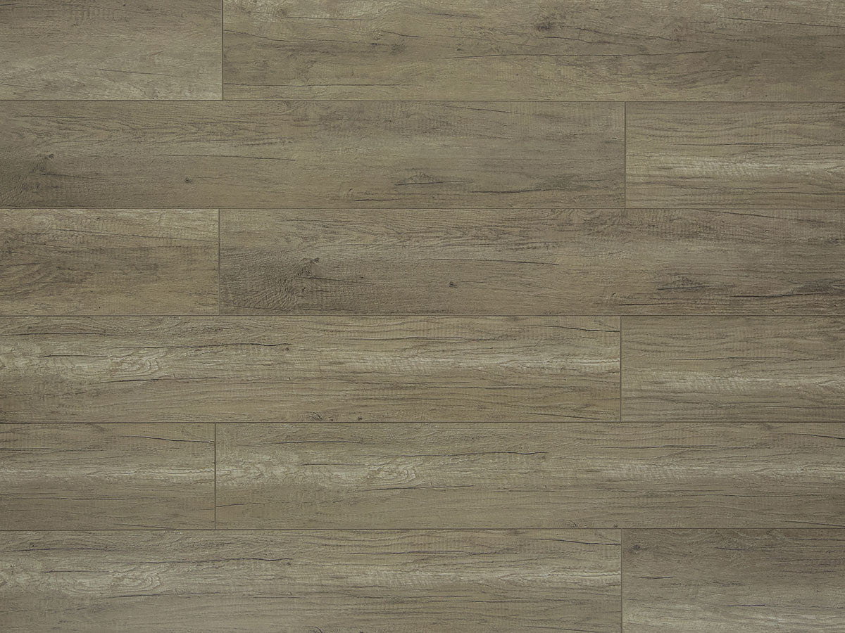 Toucan Laminate - TF6208-F -  TF 6208