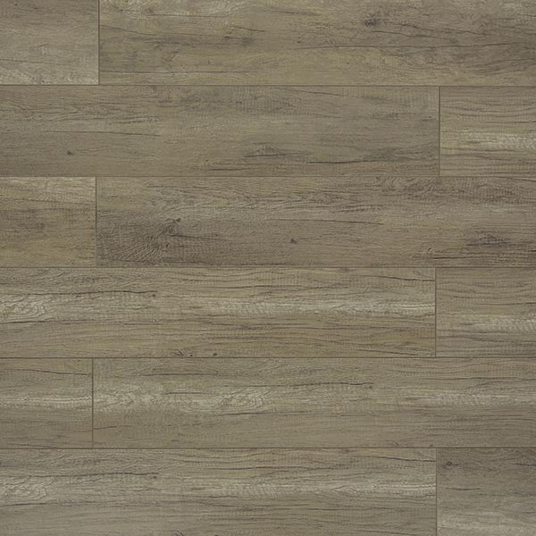 Toucan Laminate - TF6208-F -  TF 6208