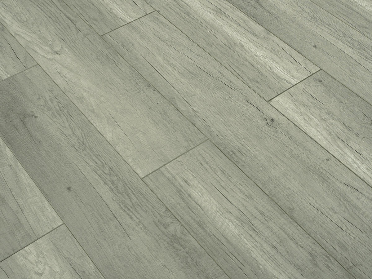 Toucan Laminate - TF6209-F - TF 6209
