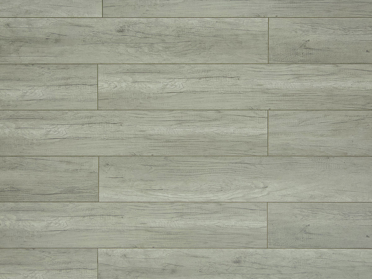 Toucan Laminate - TF6209-F - TF 6209