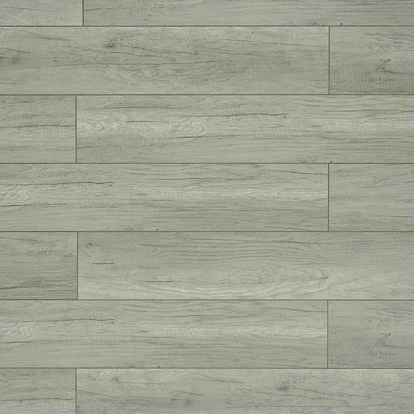 Toucan Laminate - TF6209-F - TF 6209