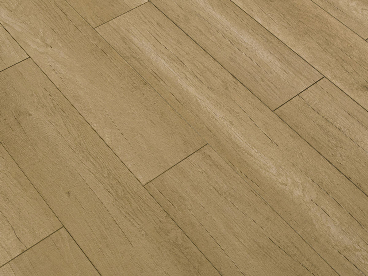 Toucan Laminate - TF6210-F - TF 6210