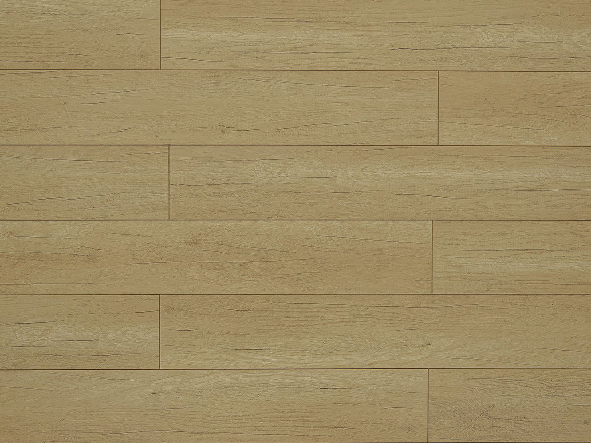 Toucan Laminate - TF6210-F - TF 6210