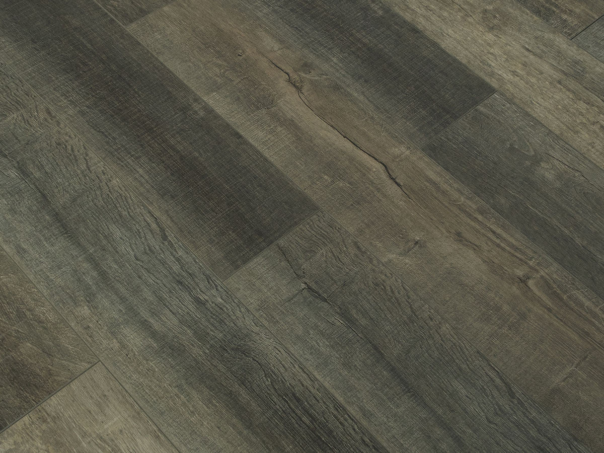 Toucan Laminate - TF6211-F -  TF 6211