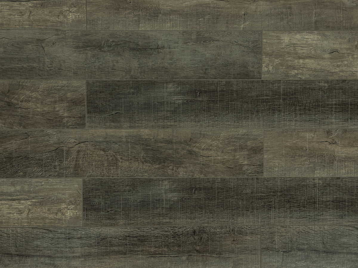 Toucan Laminate - TF6211-F -  TF 6211