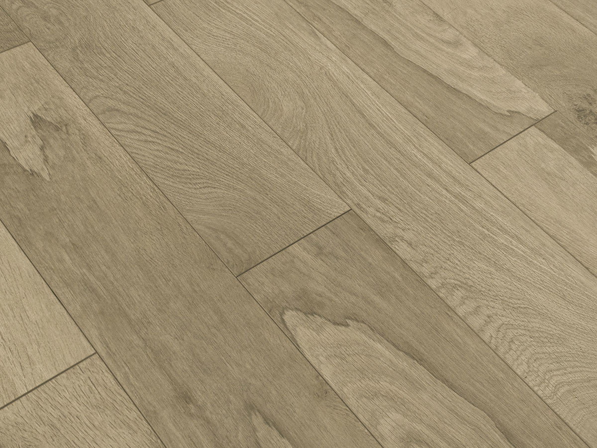 Toucan Laminate - TF6212-F - TF 6212