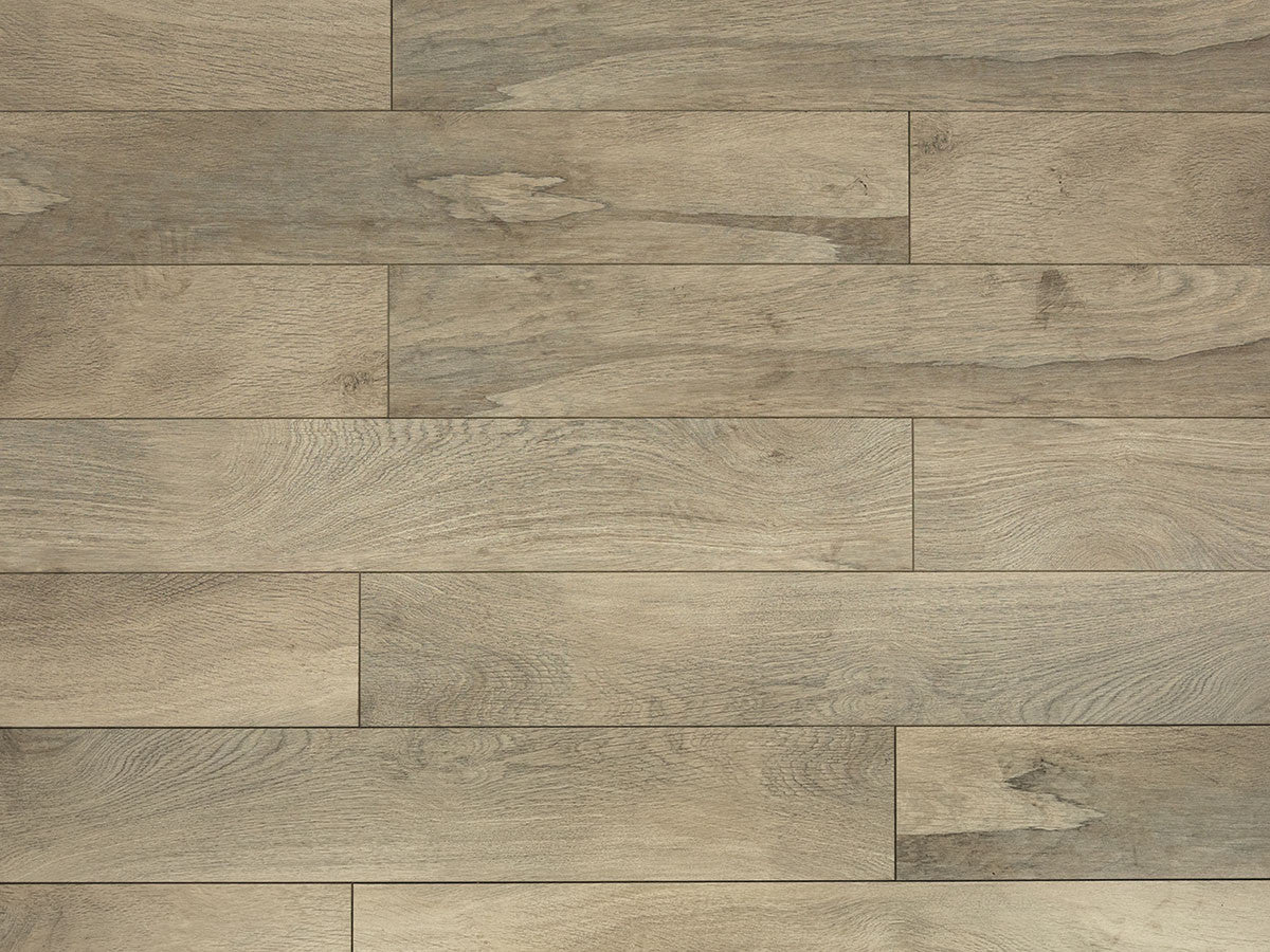 Toucan Laminate - TF6212-F - TF 6212