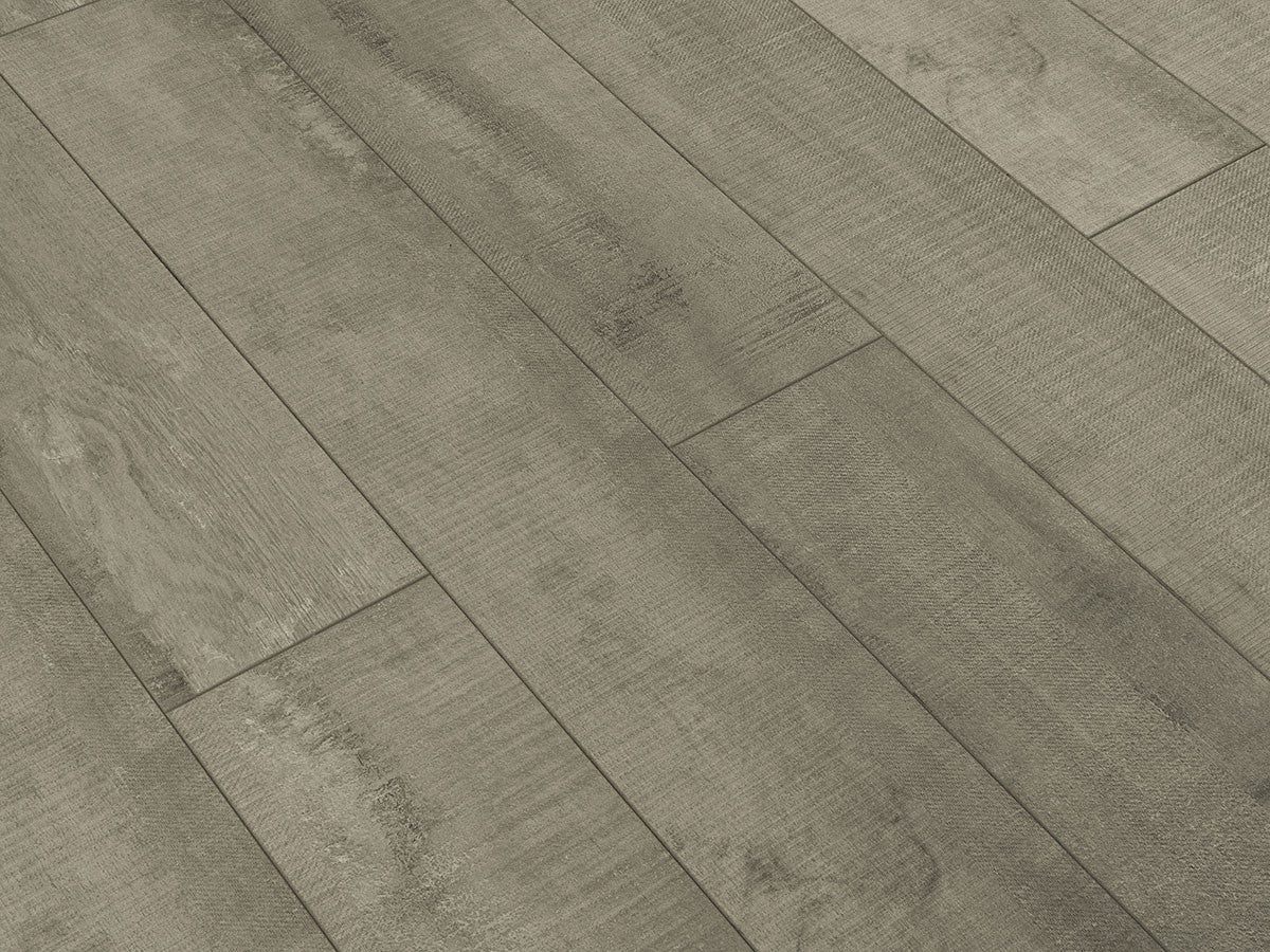 Toucan Laminate - TF6213-F -  TF 6213