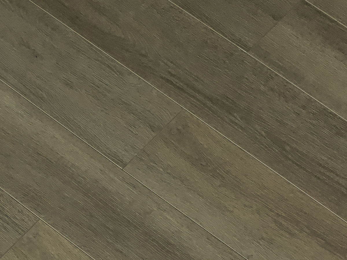 Toucan Laminate - TF6305-F