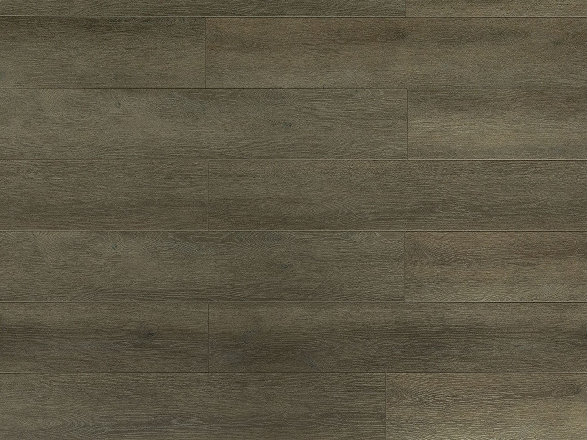Toucan Laminate - TF6305-F