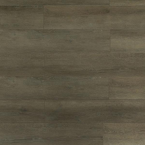 Toucan Laminate - TF6305-F